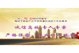 界首企业清欠服务